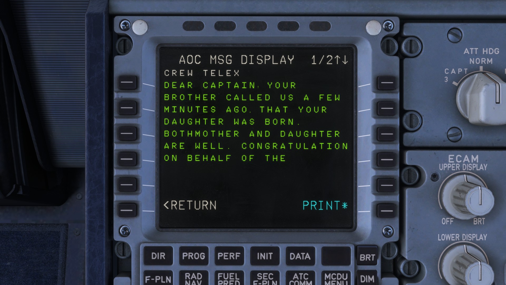 RushOps aircraft preview
